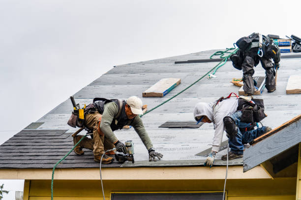 Professional Roof Replacement technician working in Midfield, TX